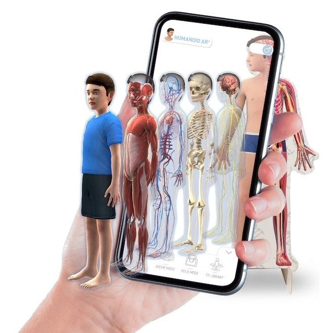 🤖 Humanoid 4D+ — ¡Descubre el cuerpo humano de forma interactiva!