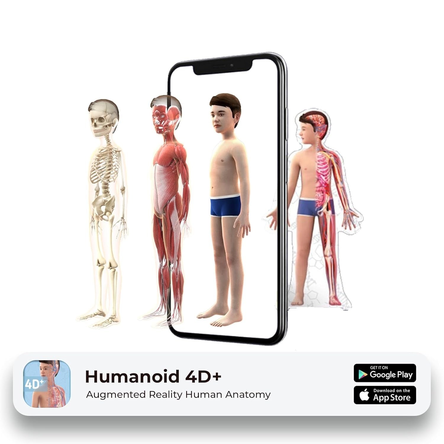 🤖 Humanoid 4D+ — ¡Descubre el cuerpo humano de forma interactiva!