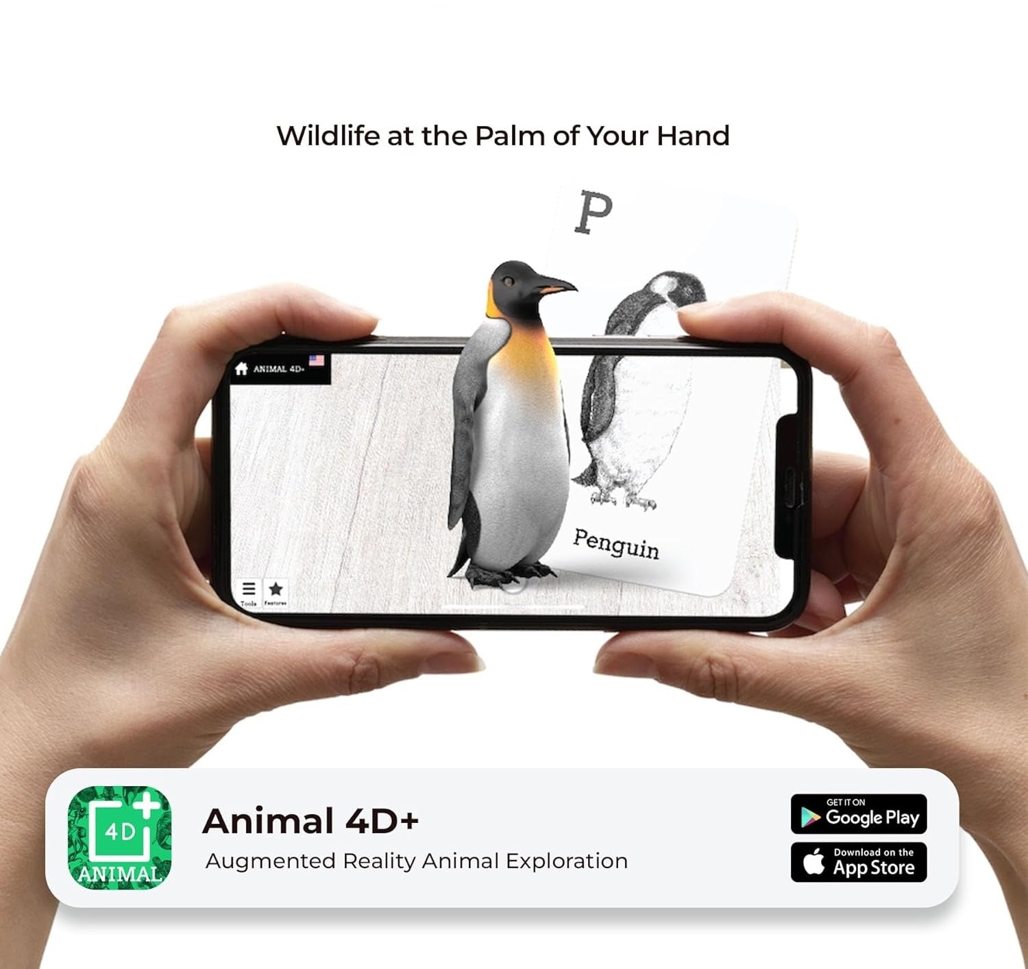 🦁 Animals 4D+ — ¡Aprender nunca fue tan divertido!