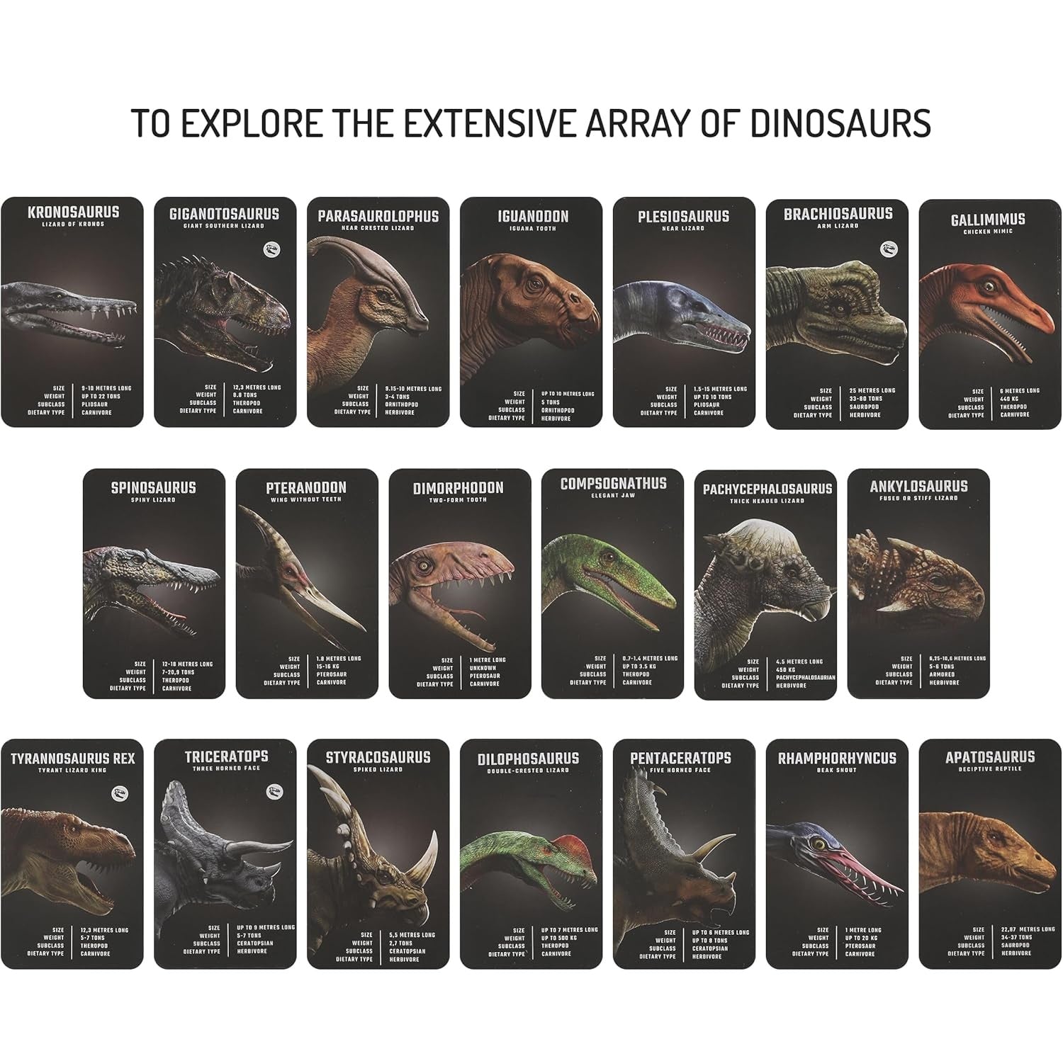 🦖 Dinosaurs 4D+ — ¡Explora el mundo jurásico en 3D!