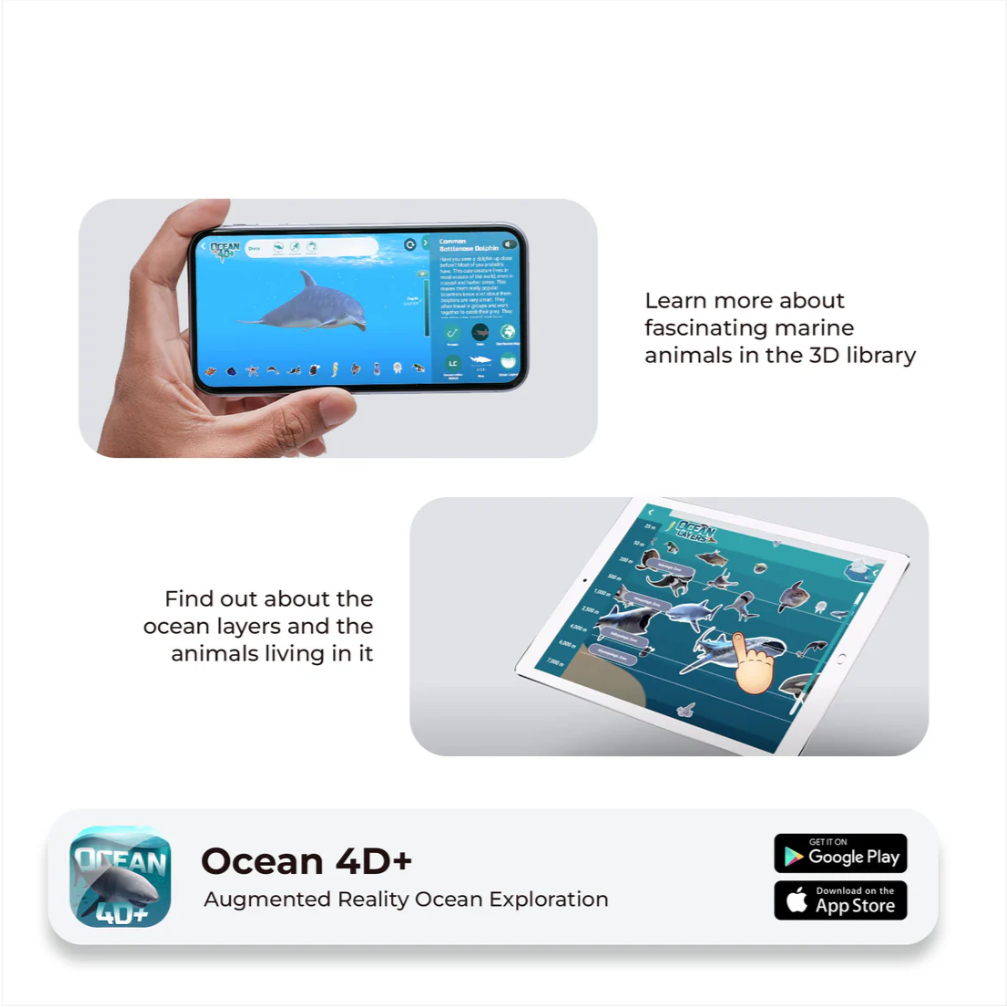 🌊 Ocean 4D+ — ¡Sumérgete en el océano y conoce sus criaturas!