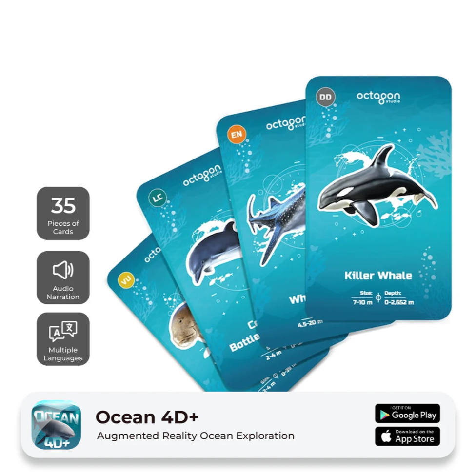 🌊 Ocean 4D+ — ¡Sumérgete en el océano y conoce sus criaturas!